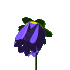2F1.gif