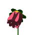 2F2.gif